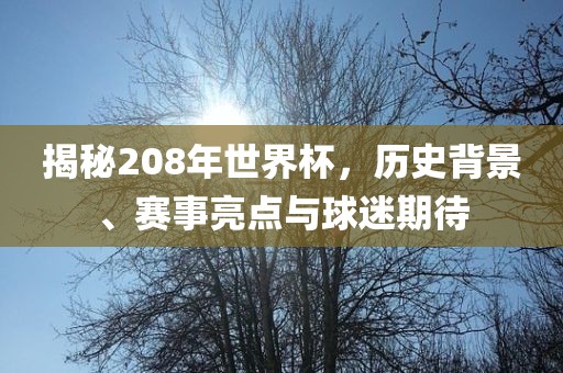 揭秘208年世界杯，历史背景、赛事亮点与球迷期待