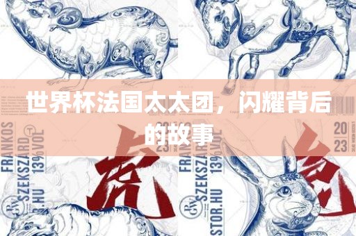 世界杯法国太太团，闪耀背后的故事