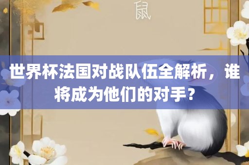 世界杯法国对战队伍全解析，谁将成为他们的对手？