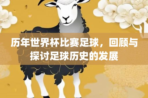 历年世界杯比赛足球，回顾与探讨足球历史的发展