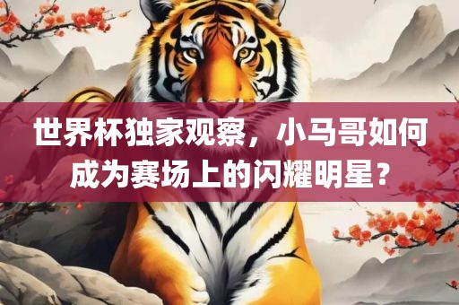 世界杯独家观察，小马哥如何成为赛场上的闪耀明星？