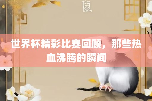 世界杯精彩比赛回顾，那些热血沸腾的瞬间