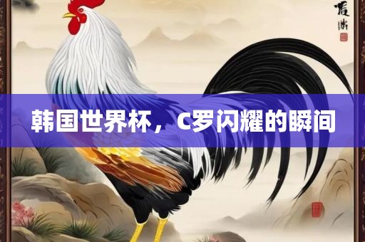 韩国世界杯，C罗闪耀的瞬间