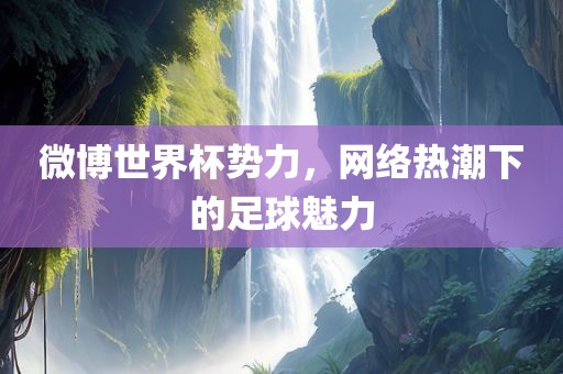 微博世界杯势力，网络热潮下的足球魅力