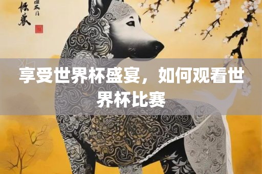享受世界杯盛宴，如何观看世界杯比赛