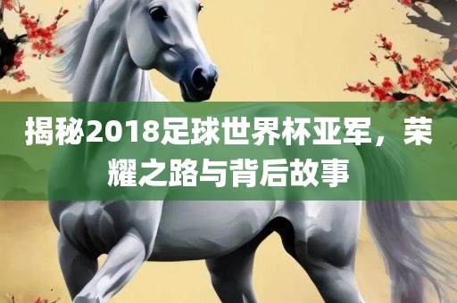 揭秘2018足球世界杯亚军，荣耀之路与背后故事眉山市正发家政服务有限公司
