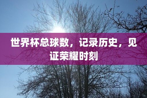 世界杯总球数，记录历史，见证荣耀时刻