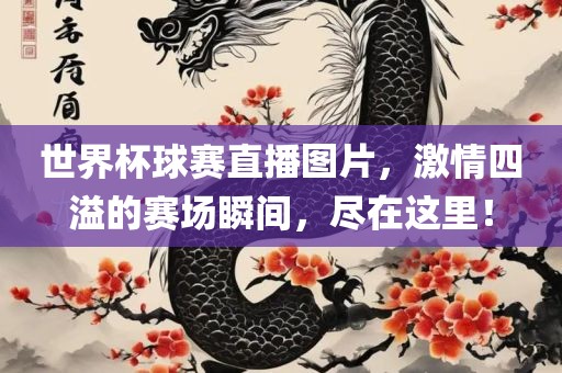 世界杯球赛直播图片，激情四溢的赛场瞬间，尽在这里！