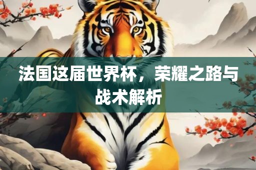 法国这届世界杯，荣耀之路与战术解析
