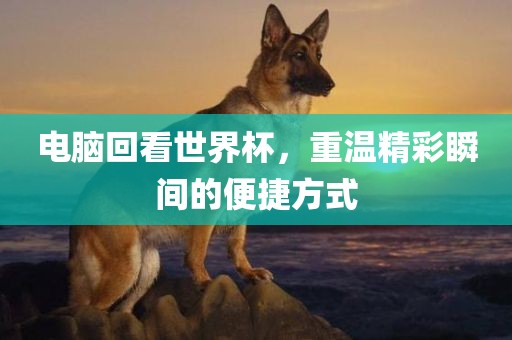 电脑回看世界杯，重温精彩瞬间的便捷方式