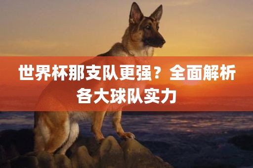 世界杯那支队更强？全面解析各大球队实力