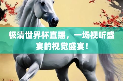 极清世界杯直播，一场视听盛宴的视觉盛宴！
