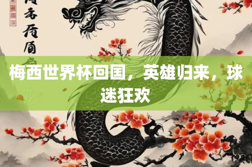 梅西世界杯回国，英雄归来，球迷狂欢