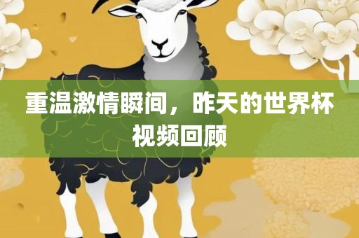 重温激情瞬间，昨天的世界杯视频回顾