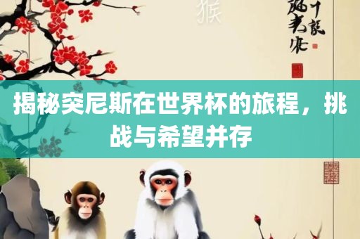 揭秘突尼斯在世界杯的旅程，挑战与希望并存