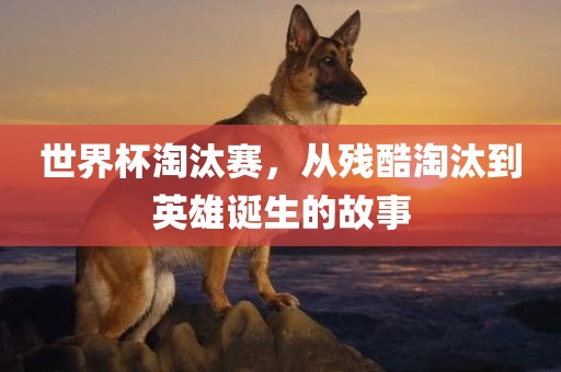 世界杯淘汰赛，从残酷淘汰到英雄诞生的故事