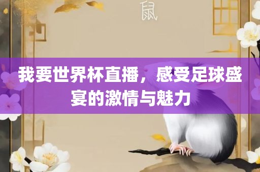 我要世界杯直播，感受足球盛宴的激情与魅力