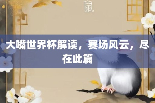 大嘴世界杯解读，赛场风云，尽在此篇