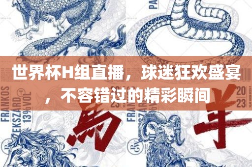 世界杯H组直播，球迷狂欢盛宴，不容错过的精彩瞬间