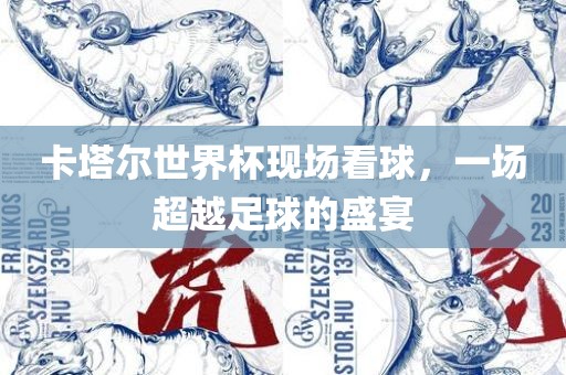 卡塔尔世界杯现场看球，一场超越足球的盛宴