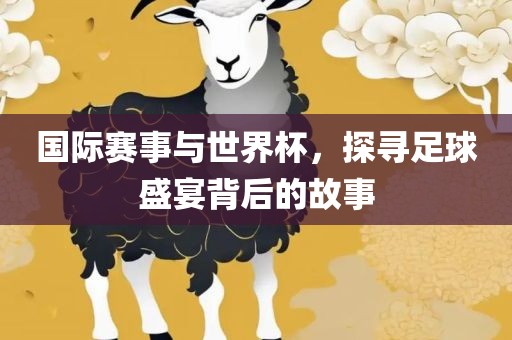 国际赛事与世界杯，探寻足球盛宴背后的故事