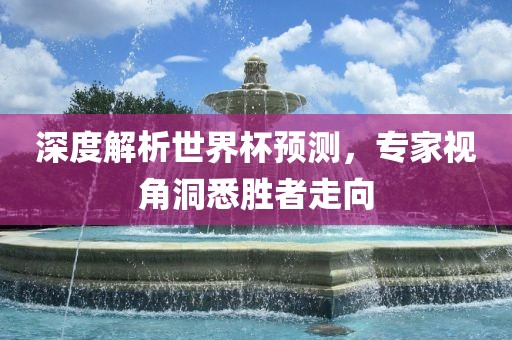 深度解析世界杯预测，专家视角洞悉胜者走向