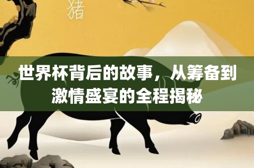 世界杯背后的故事，从筹备到激情盛宴的全程揭秘