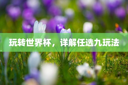 玩转世界杯，详解任选九玩法