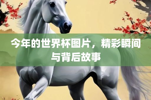 今年的世界杯图片，精彩瞬间与背后故事