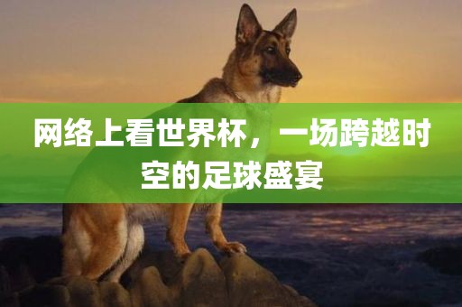 网络上看世界杯，一场跨越时空的足球盛宴