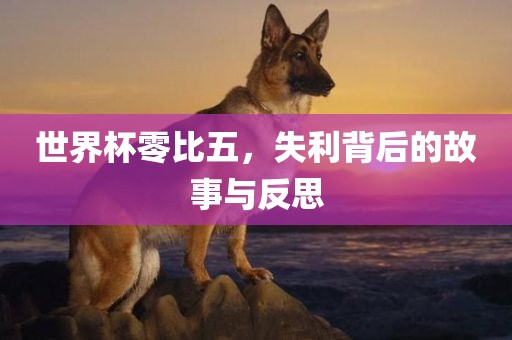 世界杯零比五，失利背后的故事与反思