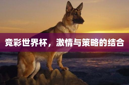 竞彩世界杯，激情与策略的结合