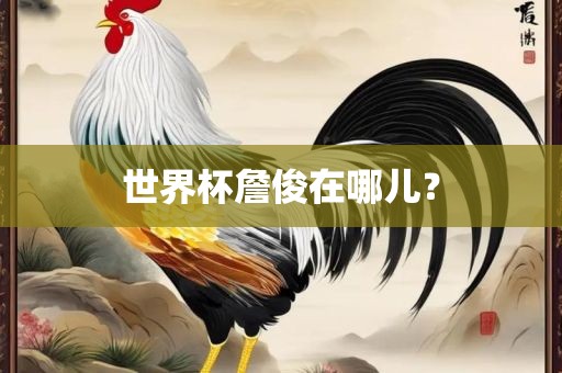 世界杯詹俊在哪儿？