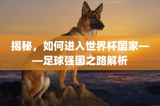 揭秘，如何进入世界杯国家——足球强国之路解析