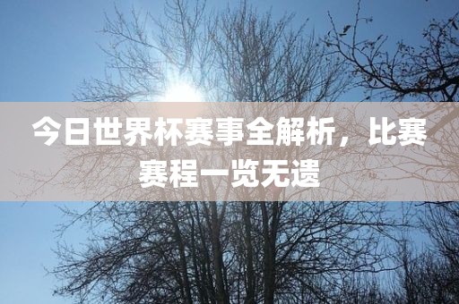 今日世界杯赛事全解析，比赛赛程一览无遗