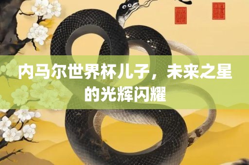 内马尔世界杯儿子，未来之星的光辉闪耀