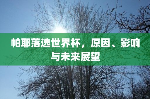 xinyu