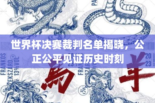 世界杯决赛裁判名单揭晓，公正公平见证历史时刻