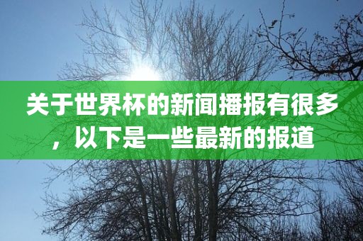 关于世界杯的新闻播报有很多，以下是一些最新的报道
