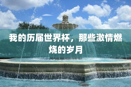 我的历届世界杯，那些激情燃烧的岁月