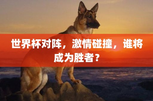 世界杯对阵，激情碰撞，谁将成为胜者？