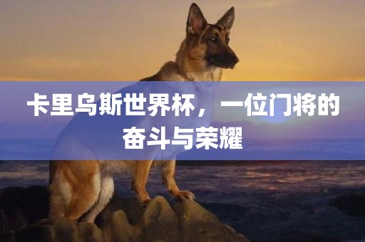卡里乌斯世界杯，一位门将的奋斗与荣耀