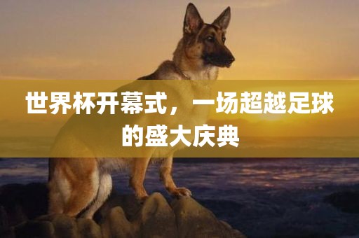 世界杯开幕式，一场超越足球的盛大庆典眉山市正发家政服务有限公司