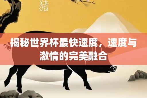揭秘世界杯最快速度，速度与激情的完美融合