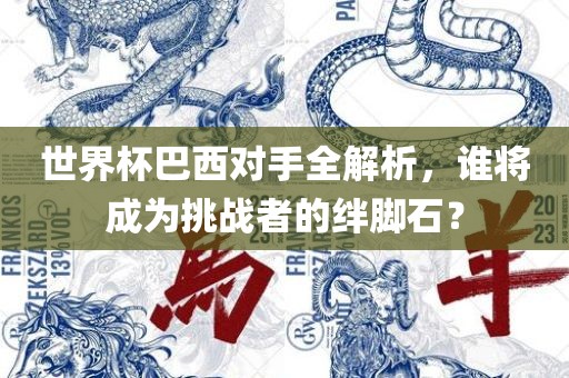 世界杯巴西对手全解析，谁将成为挑战者的绊脚石？