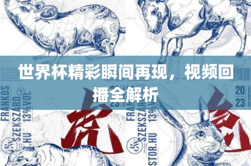 世界杯精彩瞬间再现，视频回播全解析