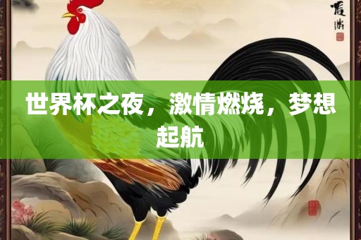 世界杯之夜，激情燃烧，梦想起航