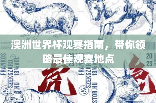 澳洲世界杯观赛指南，带你领略最佳观赛地点
