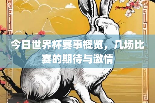 今日世界杯赛事概览，几场比赛的期待与激情