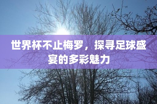 世界杯不止梅罗，探寻足球盛宴的多彩魅力